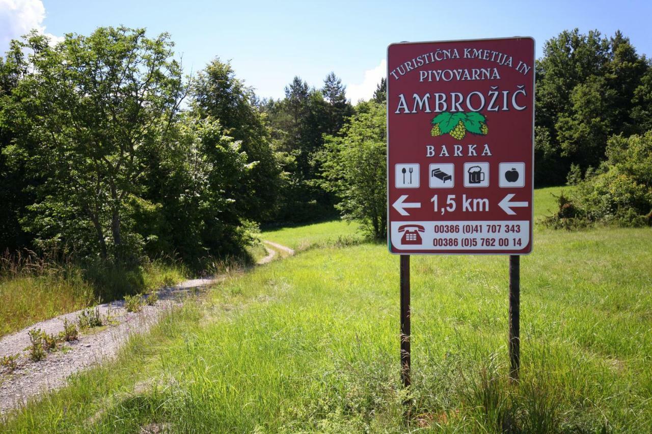 Rooms And Apartment Ambrozic Vremski Britof Exterior foto